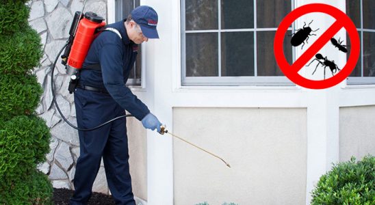 Akçadağ Fare İlaçlama böcek ilaçlama ve haşere kontrolü — ilaclama-tr.com